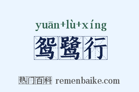 鸳鹭行是什么意思的图片